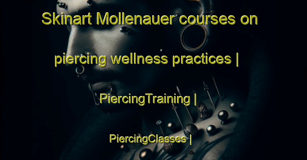 Skinart Mollenauer courses on piercing wellness practices | PiercingTraining | PiercingClasses | SkinartTraining-United States